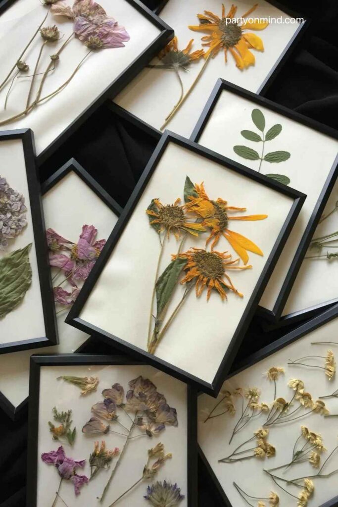 Vintage Photo Frame Backdrop