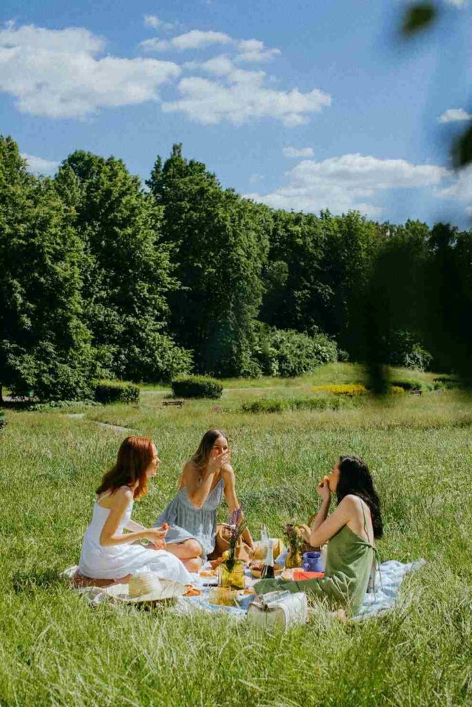 Boho Picnic Lounge