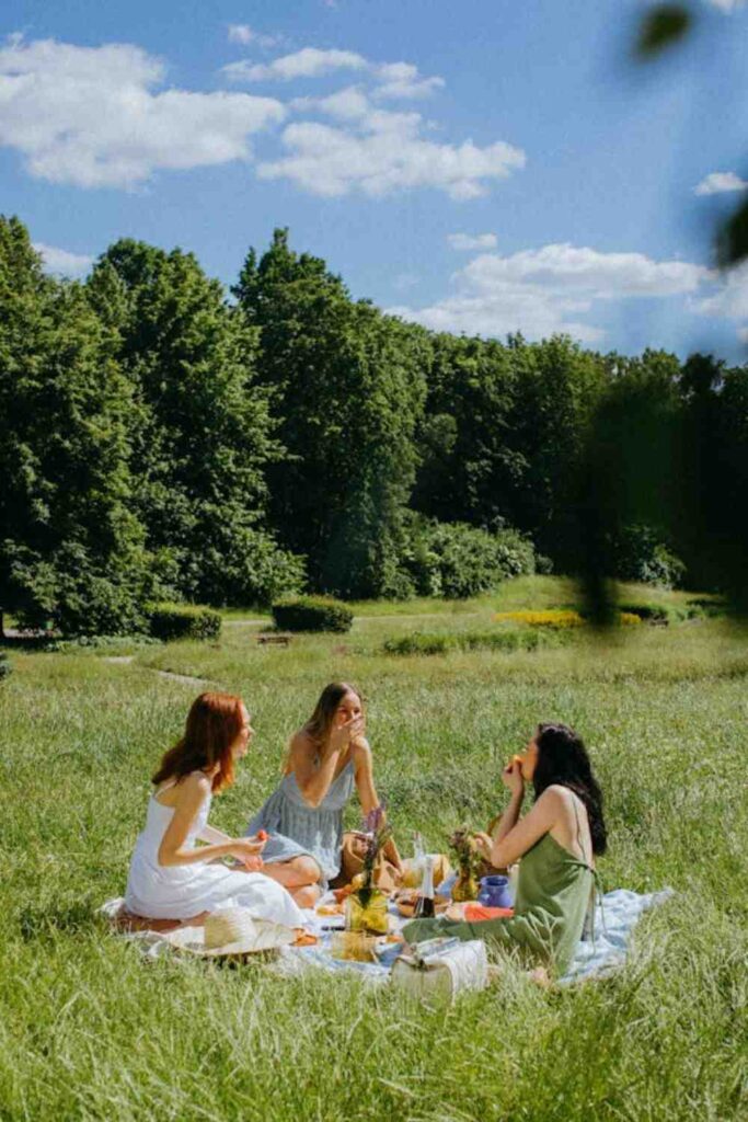 Boho Picnic Party