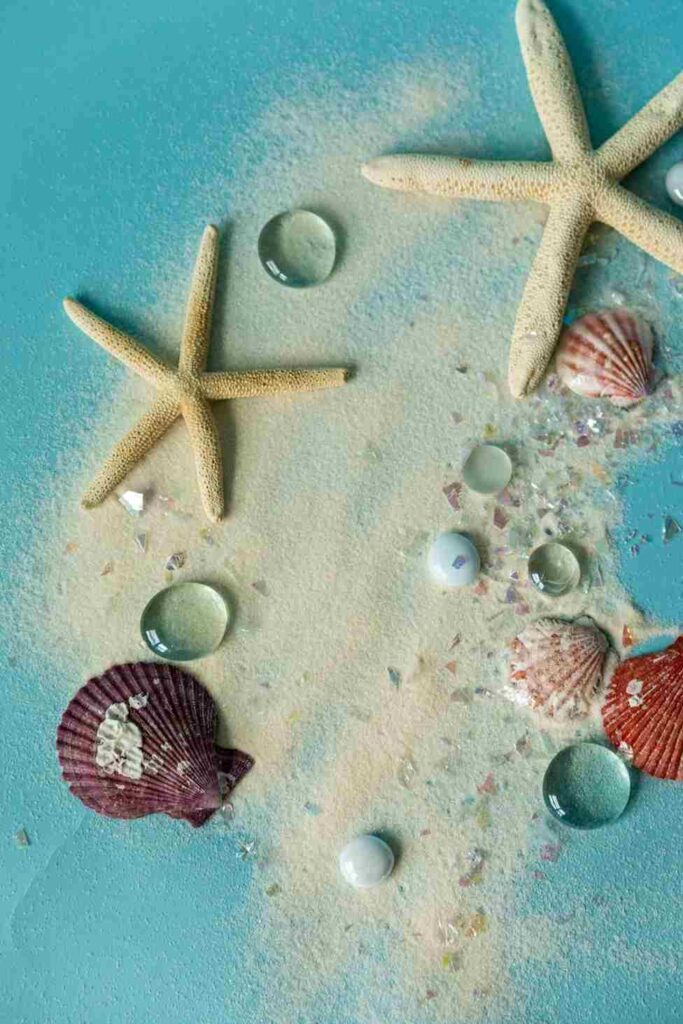 Clam Shell Scavenger Hunt