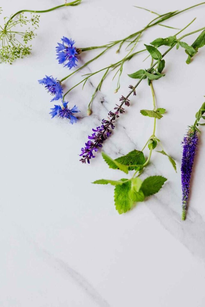 Edible Flower Decorating