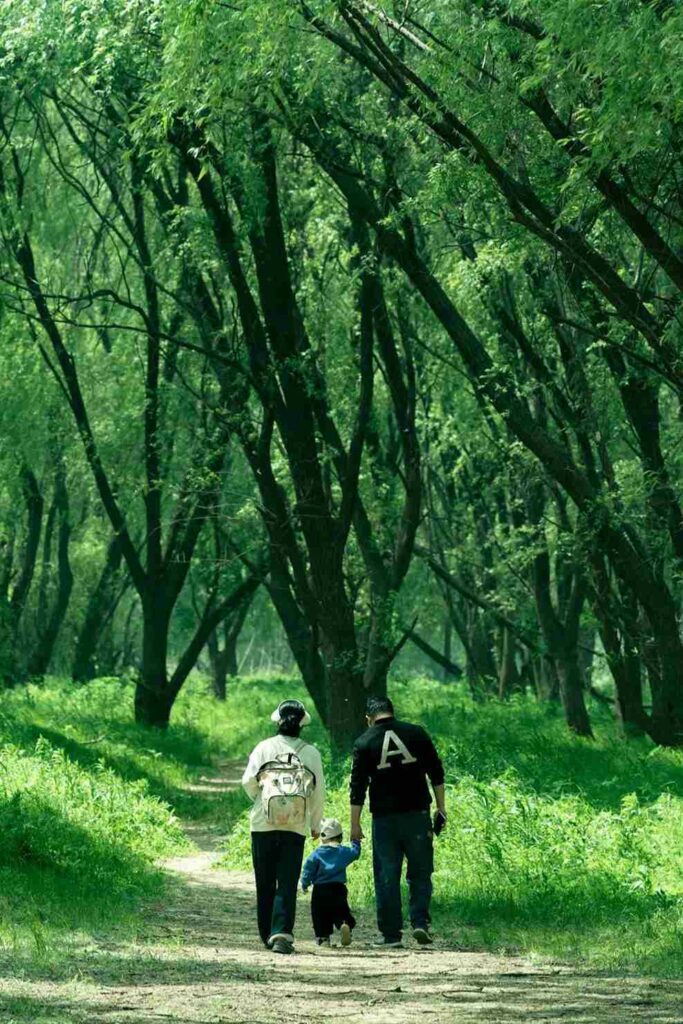 Nature Walks and Hikes