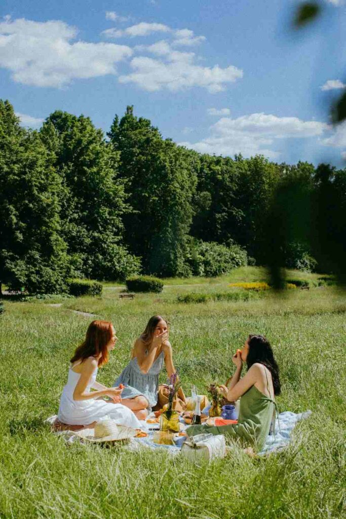 Boho Picnic Vibes