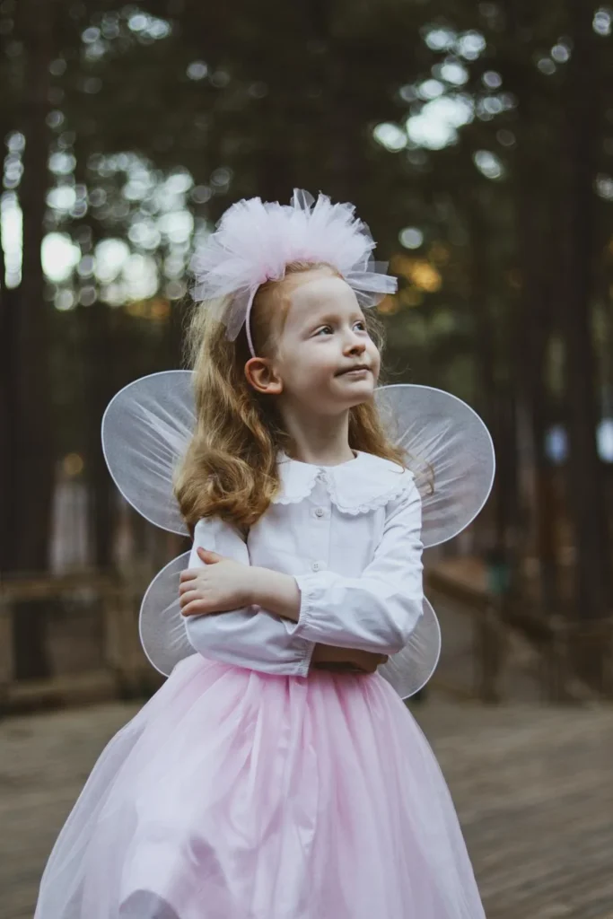 Fairy Costume