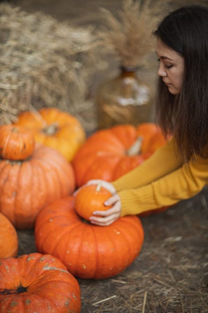 Pumpkin Patch Paradise