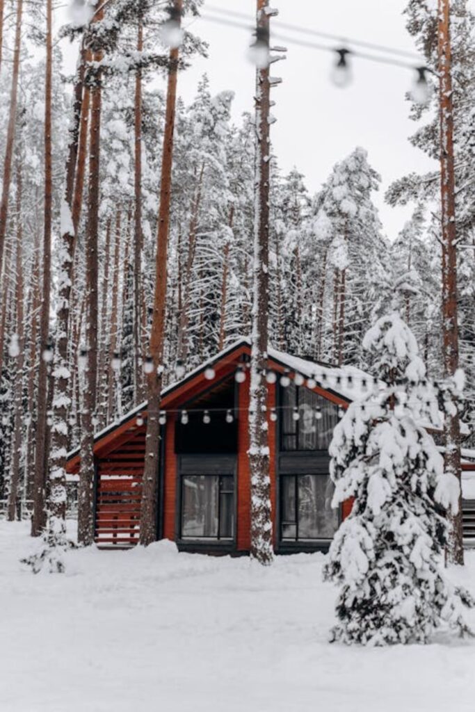 Backyard Winter Wonderland
